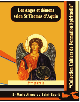 Couverture du livre: ANGES ET DEMONS TOME 2.